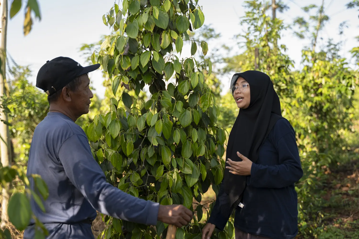 A field trainer and farmers working together during a hands-on session