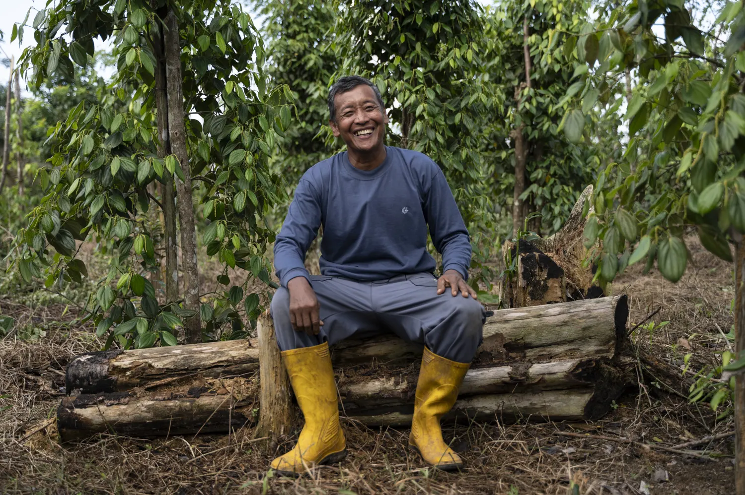 Umar laughing while sitting on a fallen log among the young trees and pepper vines he has planted