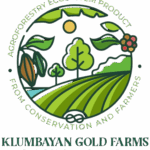 PT Klumbayan Gold Farm